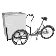   EC MOBILUX 11 Fagyasztó/hűtőszekrény triciklivel -18...+4 °C, 0.06 kW